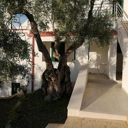 Villa Elisa Vieste Bagian luar foto