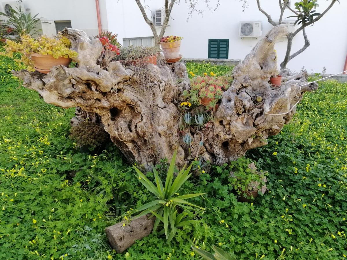 Villa Elisa Vieste Bagian luar foto