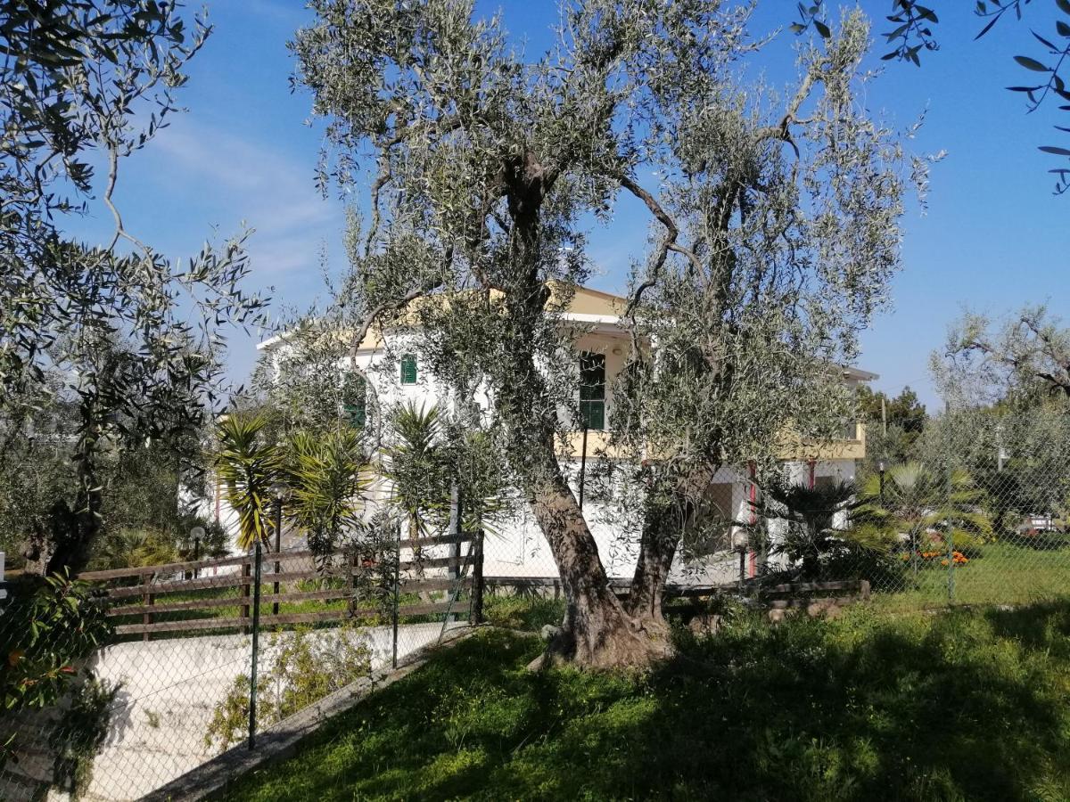 Villa Elisa Vieste Bagian luar foto