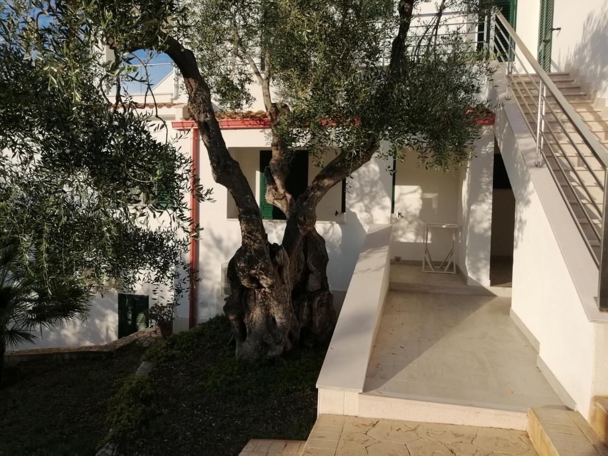 Villa Elisa Vieste Bagian luar foto